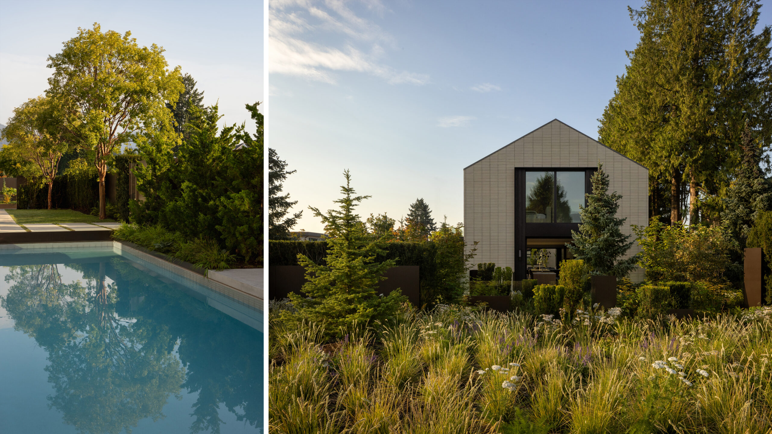 Split-view of a modern backyard: left shows a rectangular pool with reflections and trees; right shows a beige contemporary house amid landscaping.